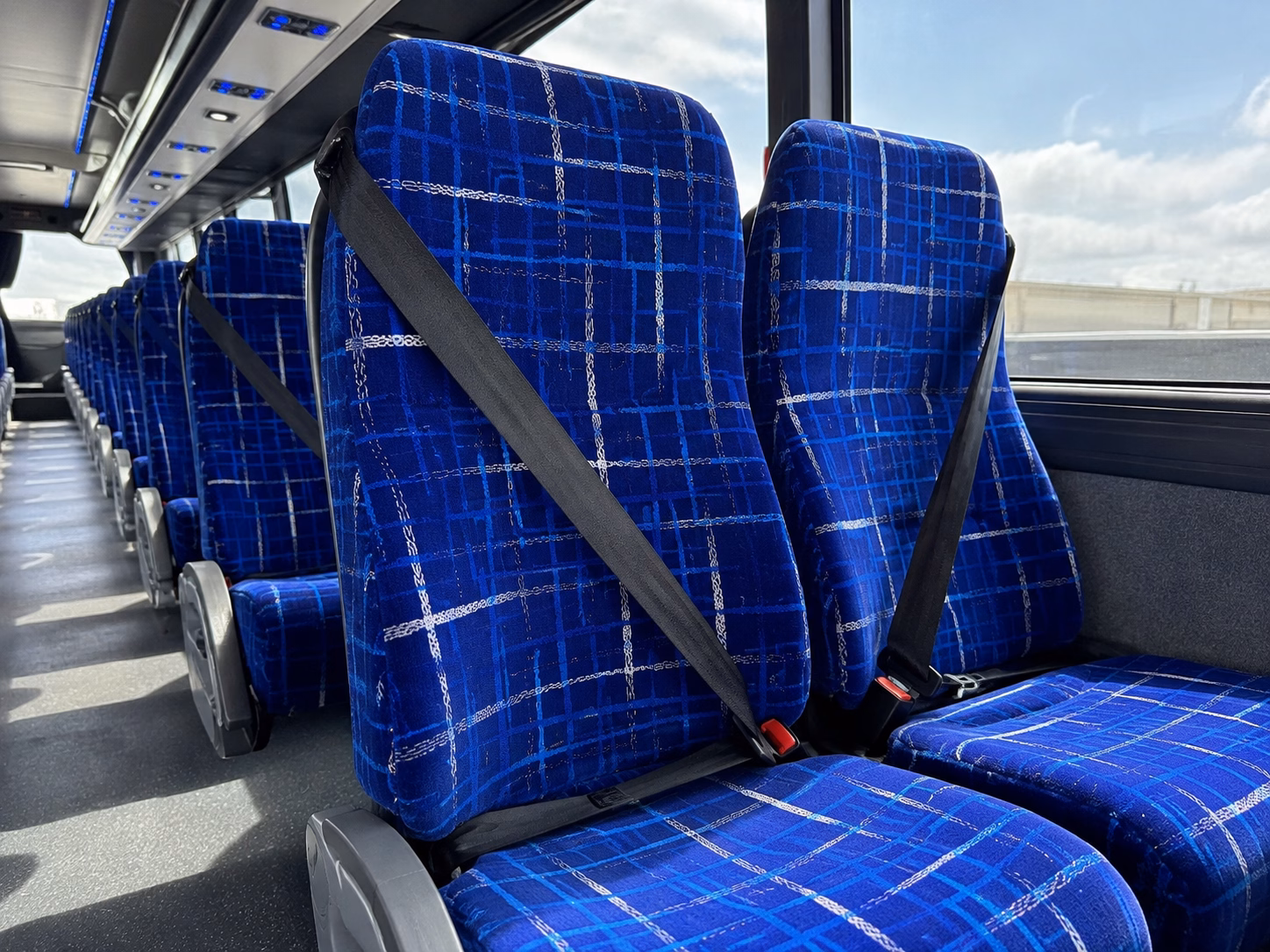 springfield long distance transportation